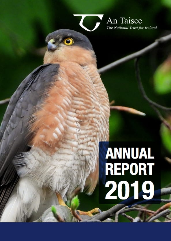 2019 Annual Report cover with hawk